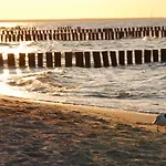 Zingst *
