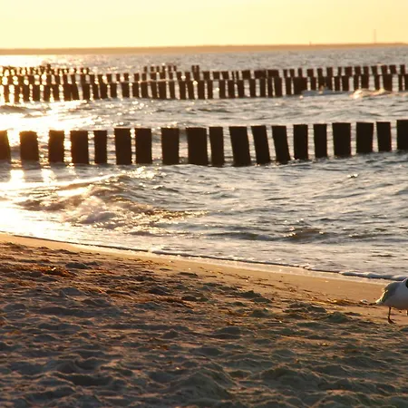 Zingst *